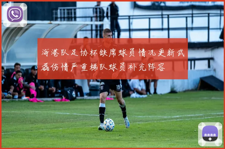 海港队足协杯缺席球员情况更新武磊伤情严重梯队球员补充阵容